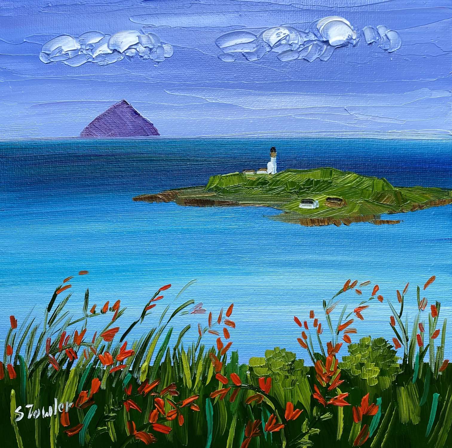 Ailsa Pladda and Kildonan Wildflowers   RESERVE - Sheila Fowler