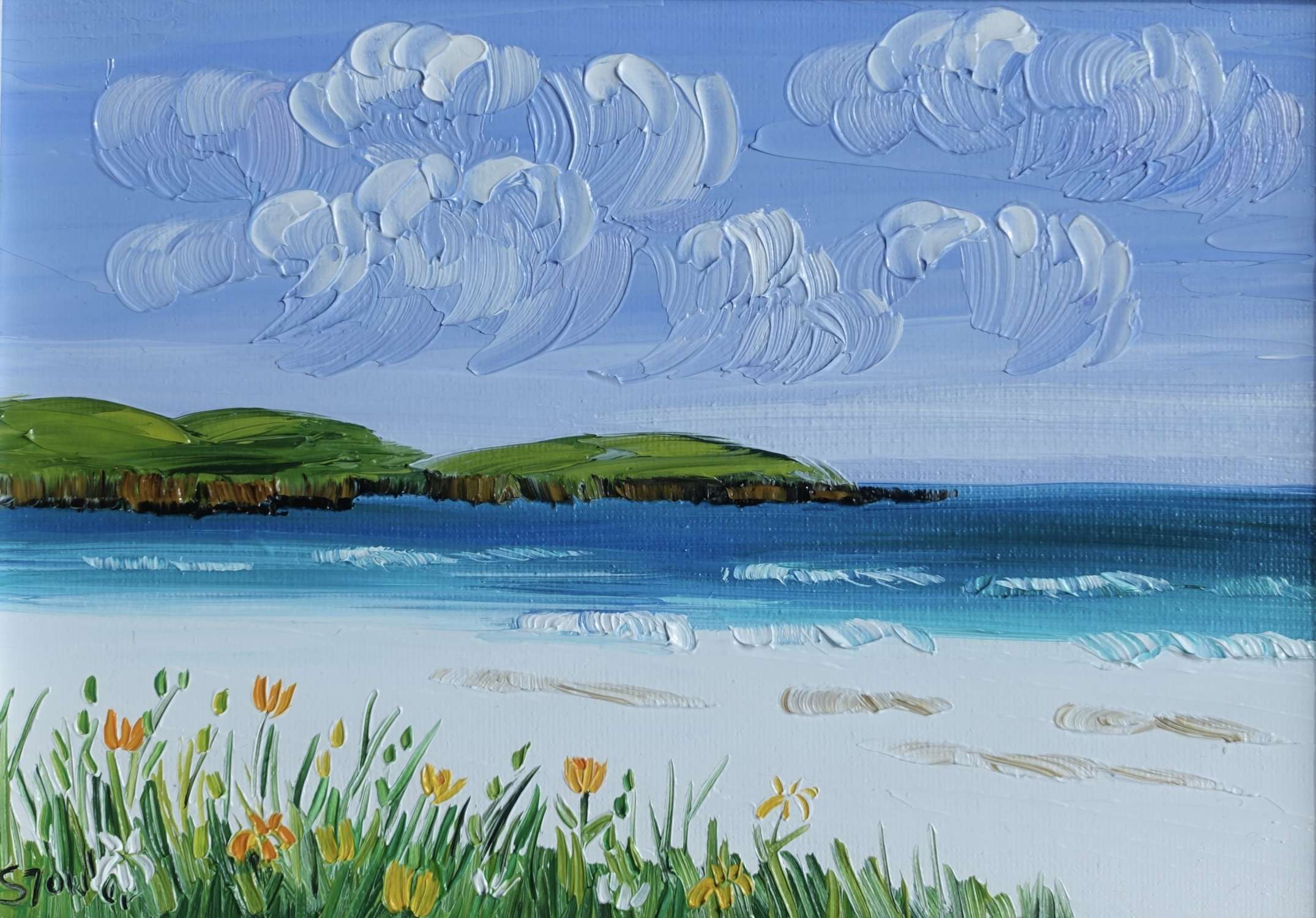 Yellow Flowers South Uist (34 x 28cm) - Sheila Fowler