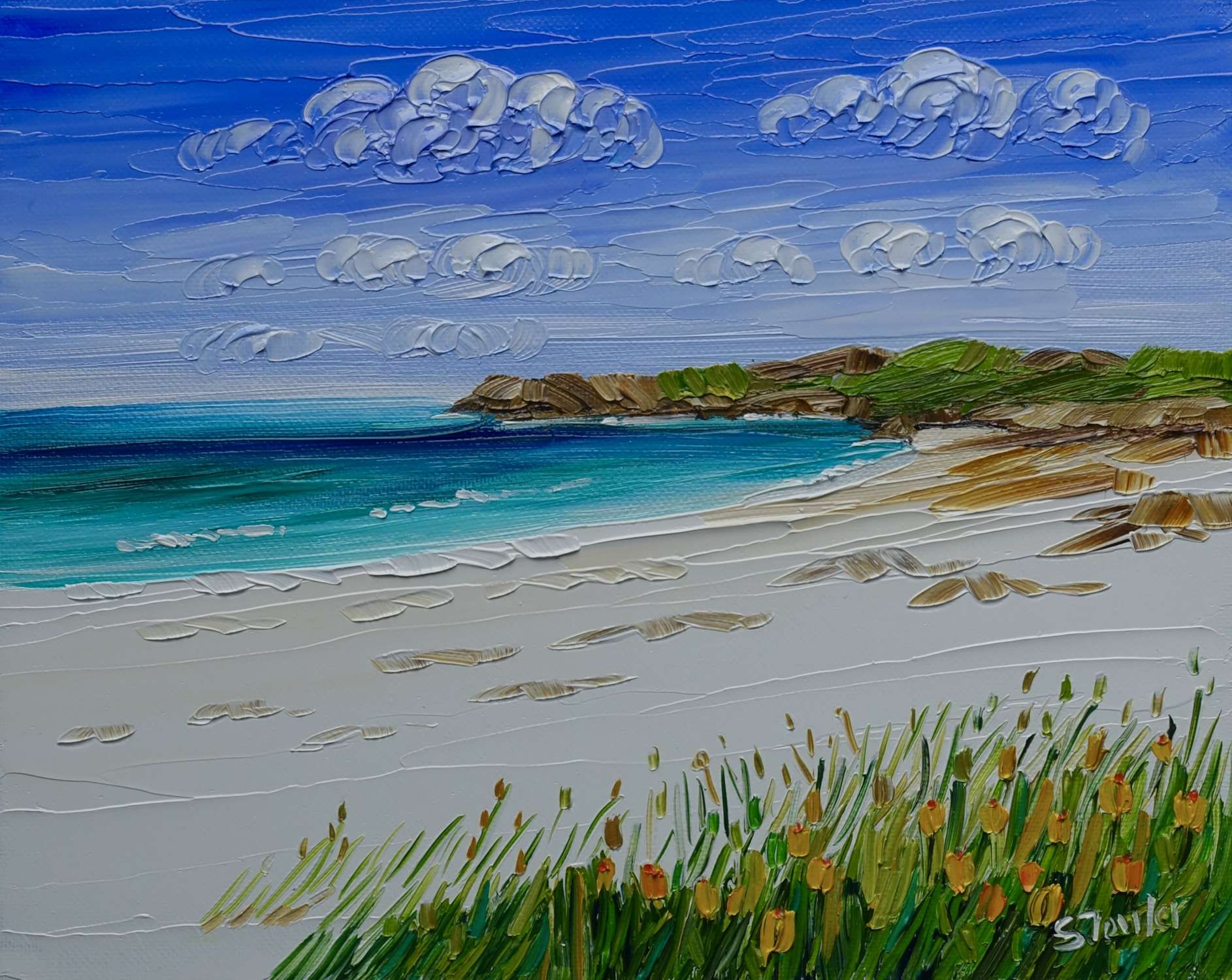 Coastal Wildflowers Isle of Harris (38 x 33cm) - Sheila Fowler