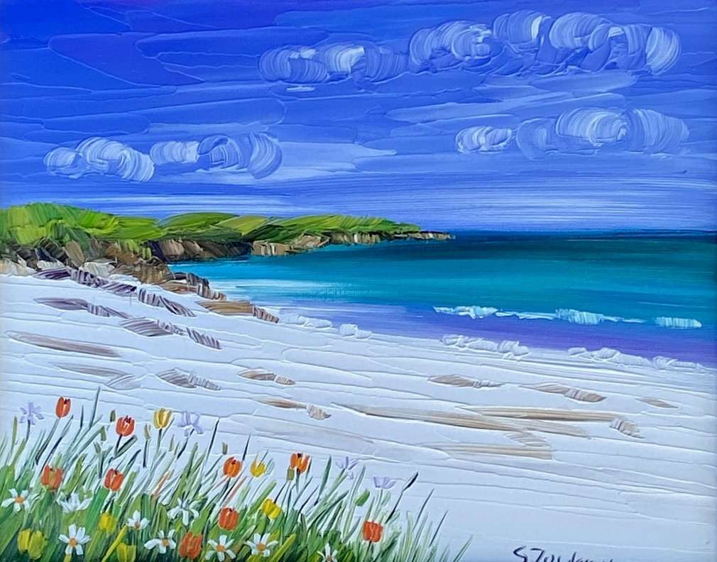 Summer Machair Isle of Harris - Sheila Fowler