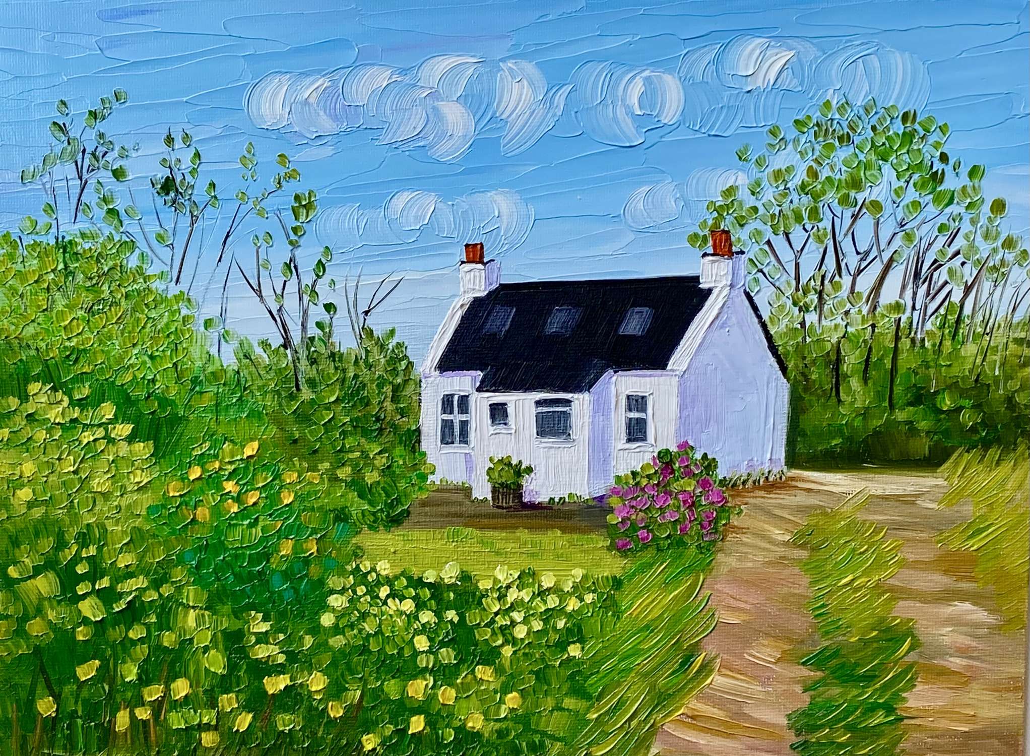 Sea View Cottage, High Corrie, Isle of Arran - Sheila Fowler