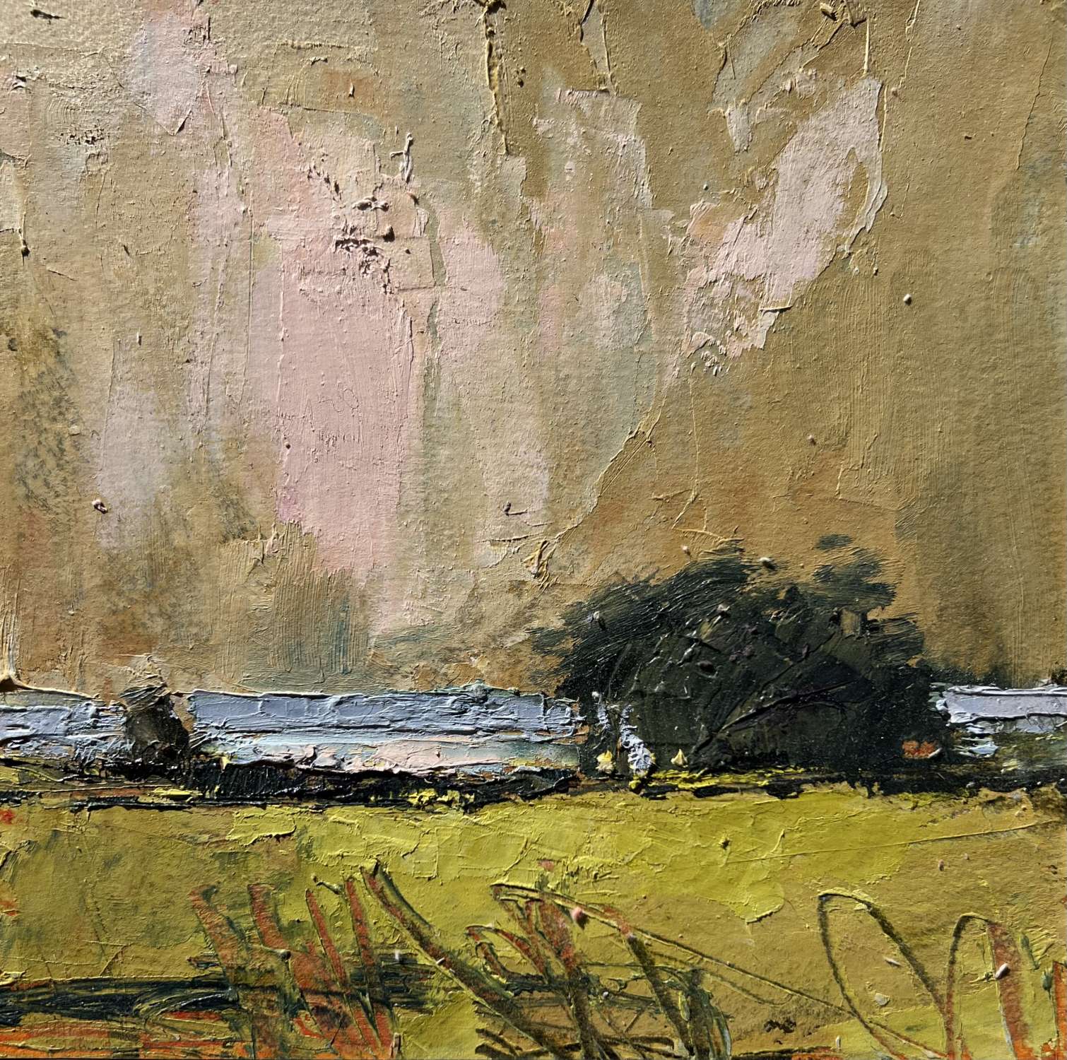 Evening Light - Jill Eisele