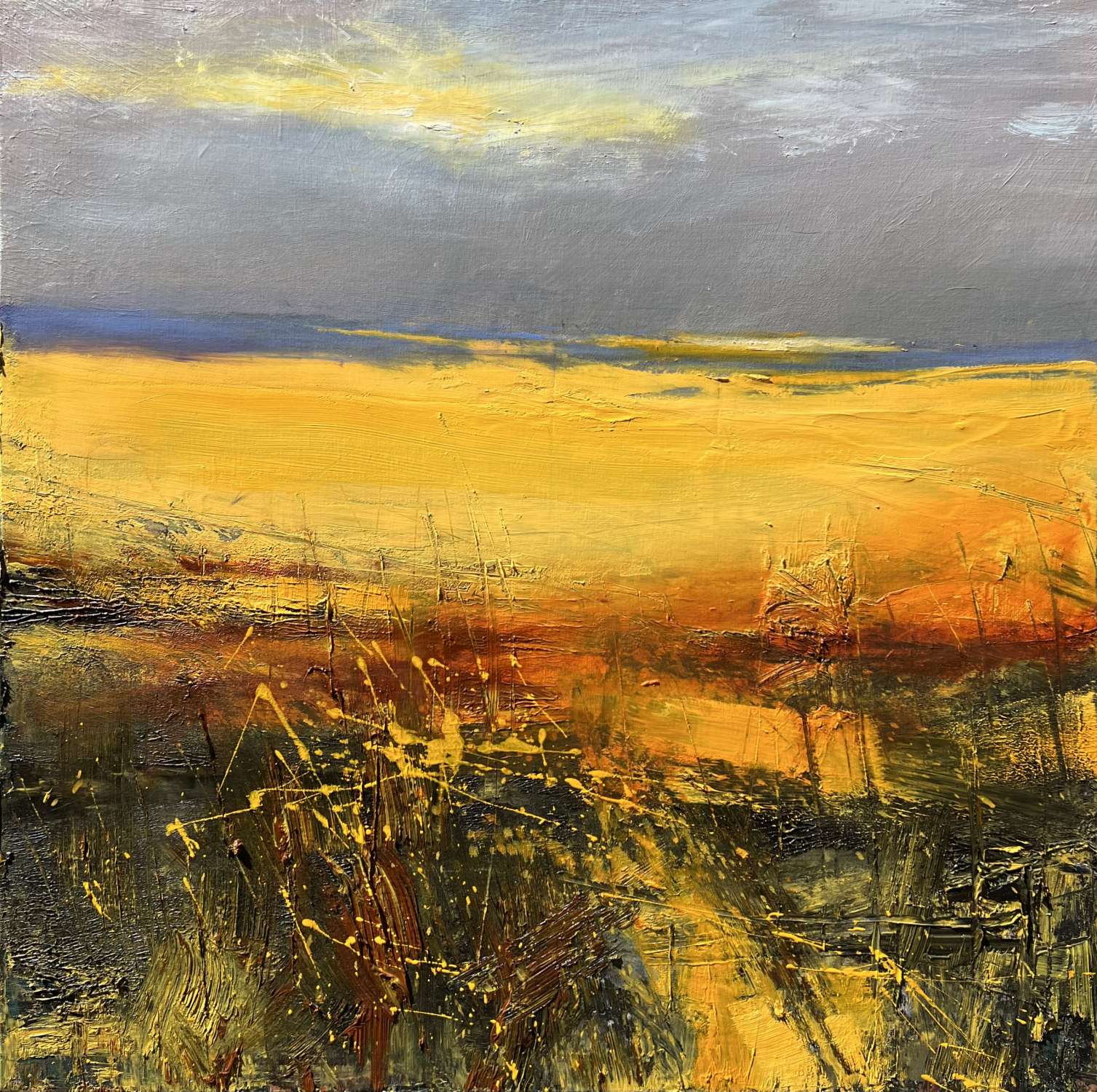 Daffodil Fields - West Penwith - Jill Eisele