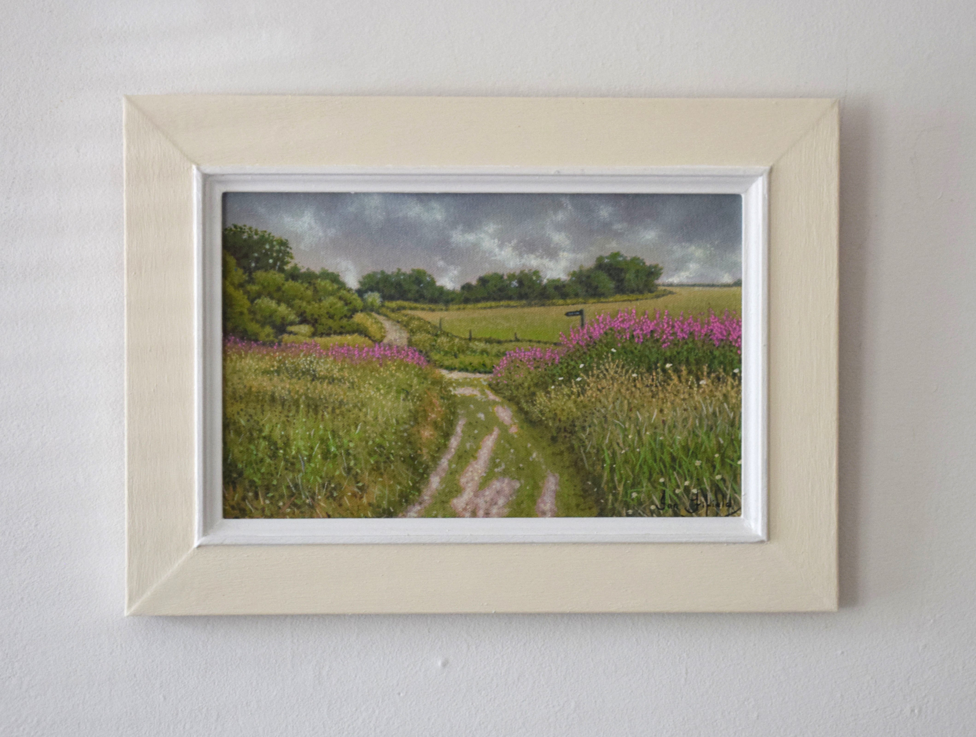 A splash of colour on the Path - Ian Fifield