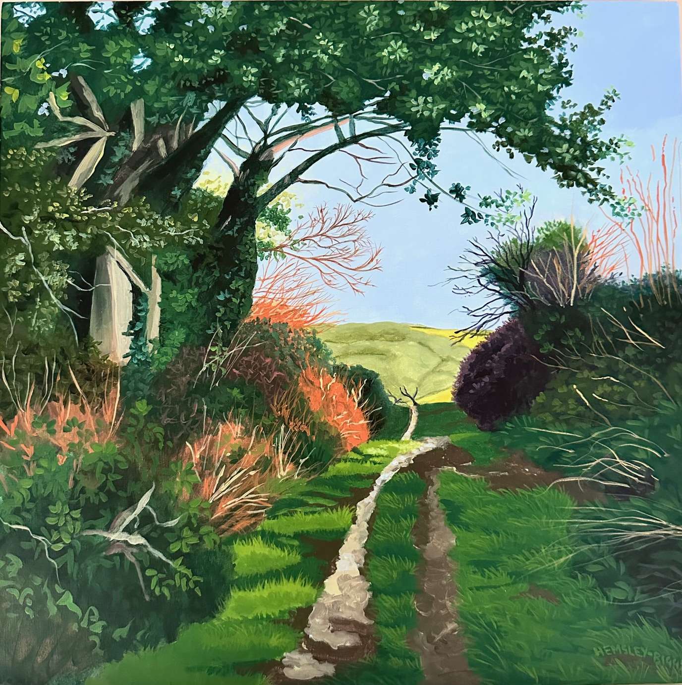 Path to Roundwood - Karen Hemsley-Biggs