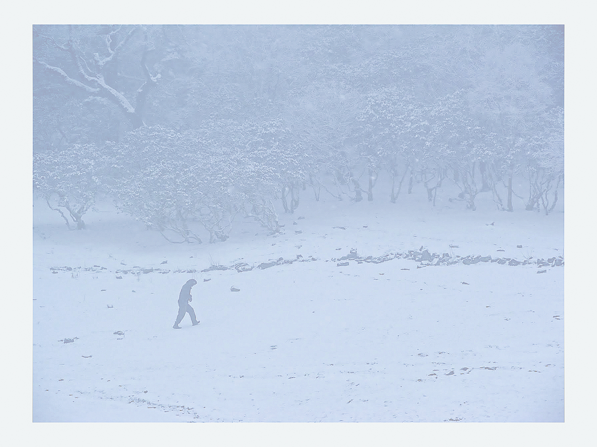 In the snow at Tengboche, Nepal - Neil Pittaway