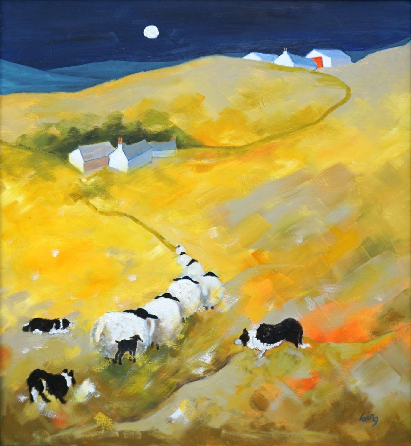 Collie Collaboration
