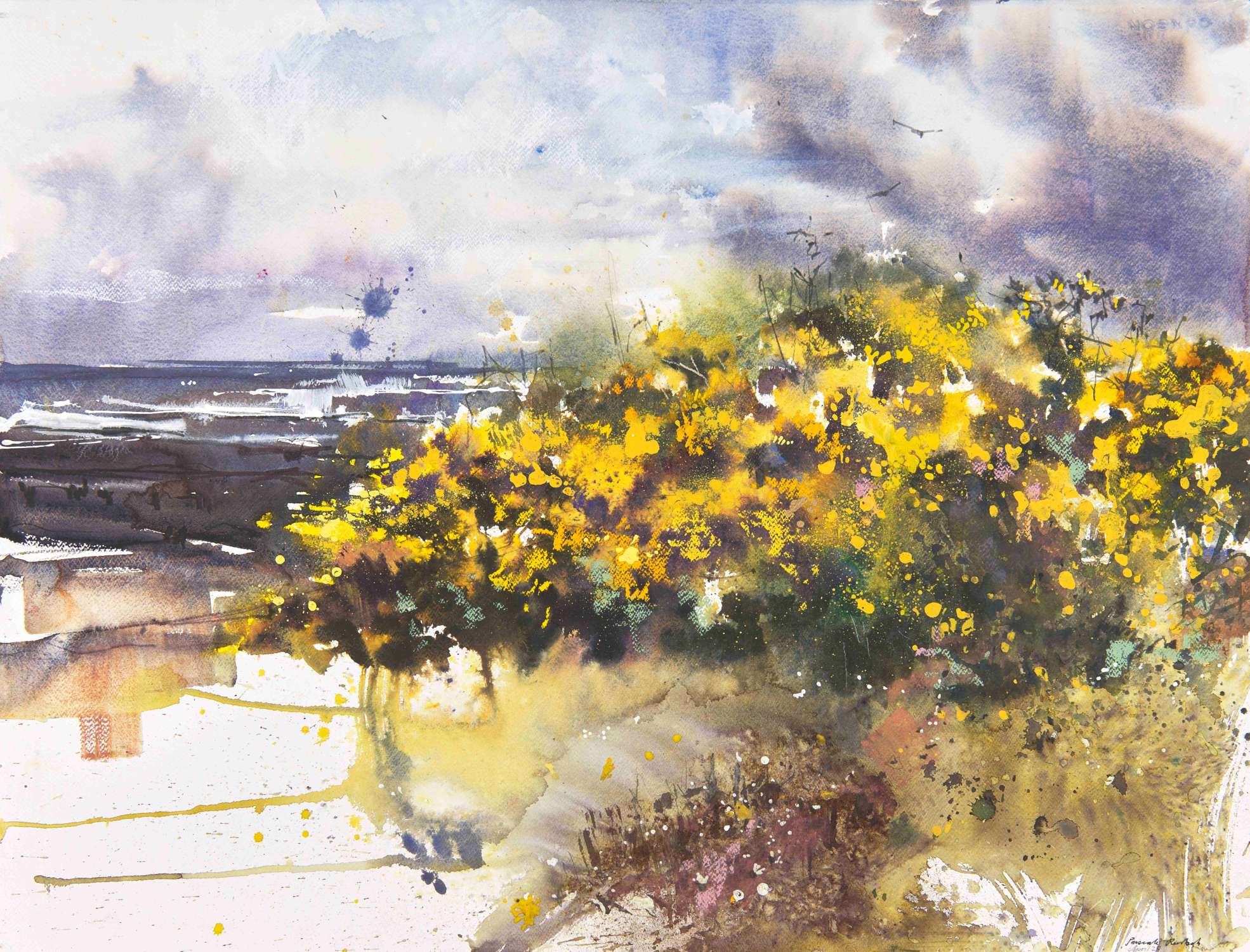 Coastal Gorse