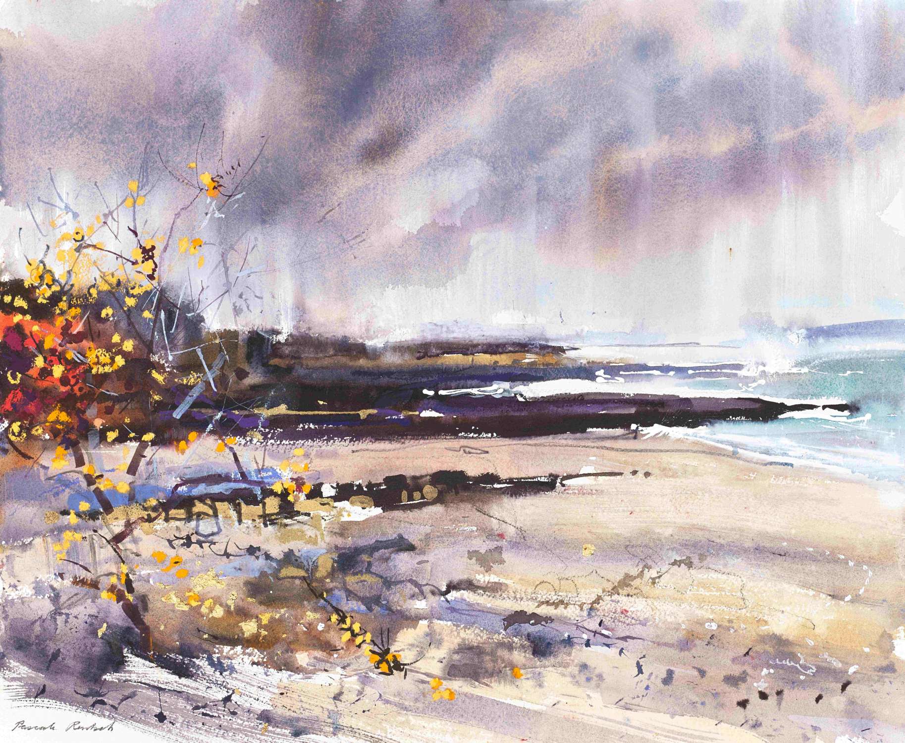 Coastline Colours