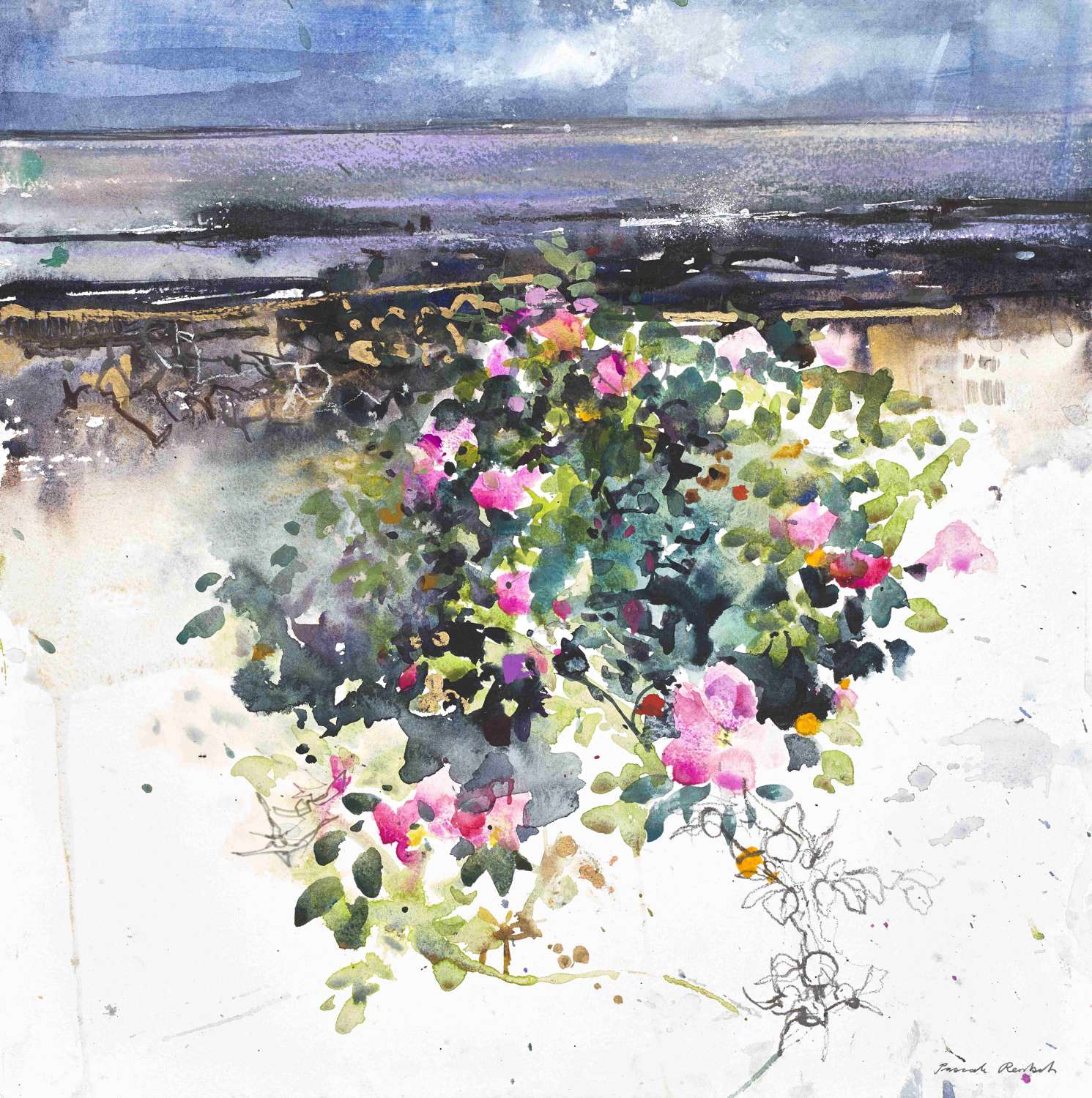 Roses by the Sea