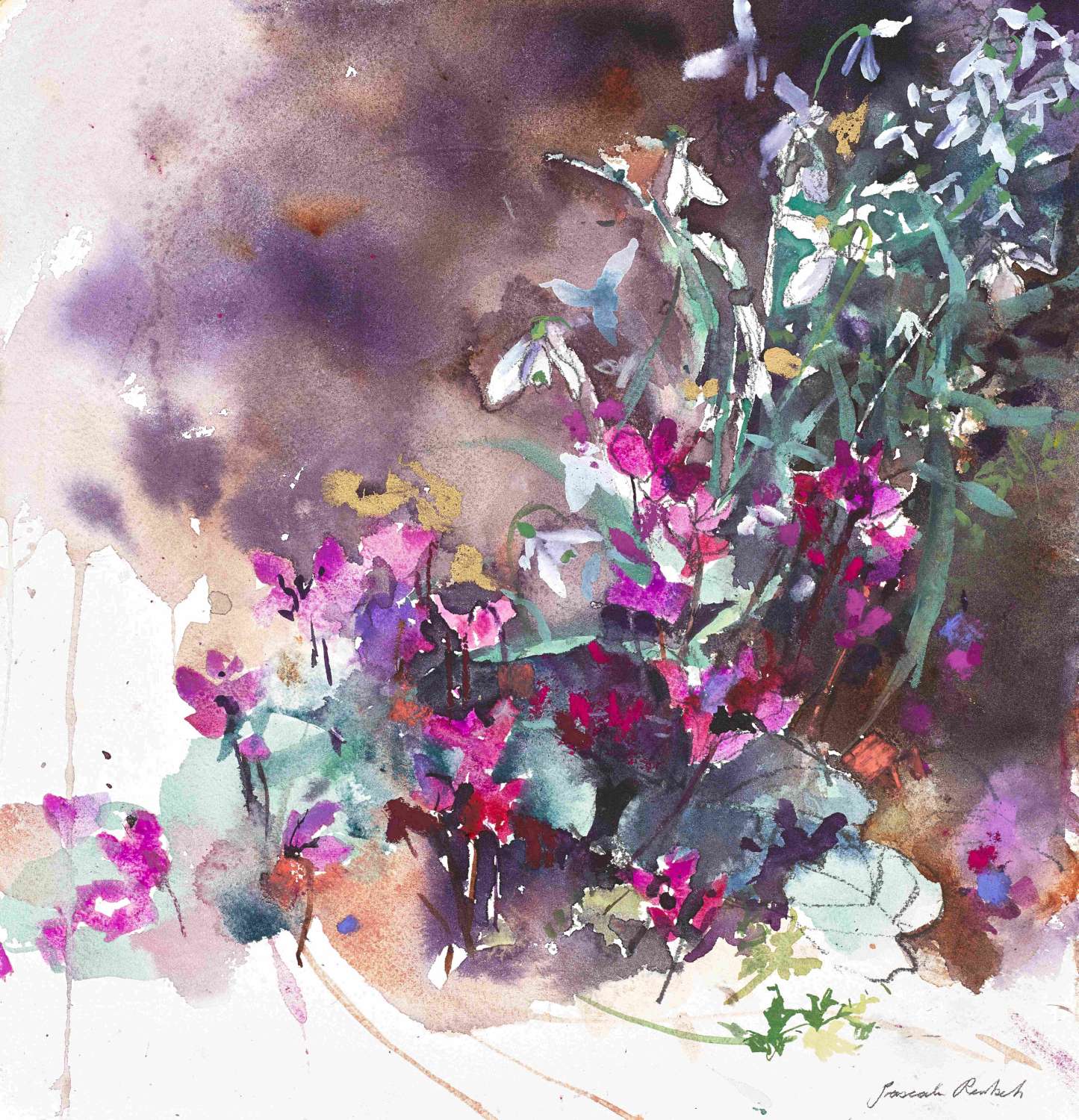 Woodland Cyclamens and Snowdrops