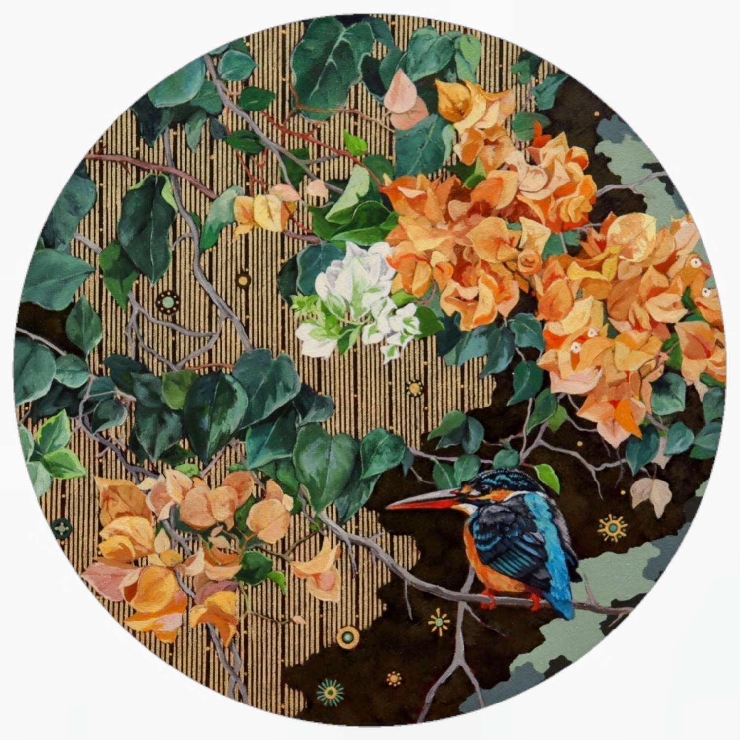 Bougainvillea
