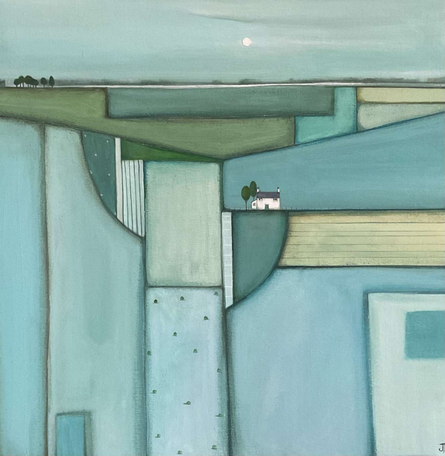 Full Moon over a Patchwork of Fields