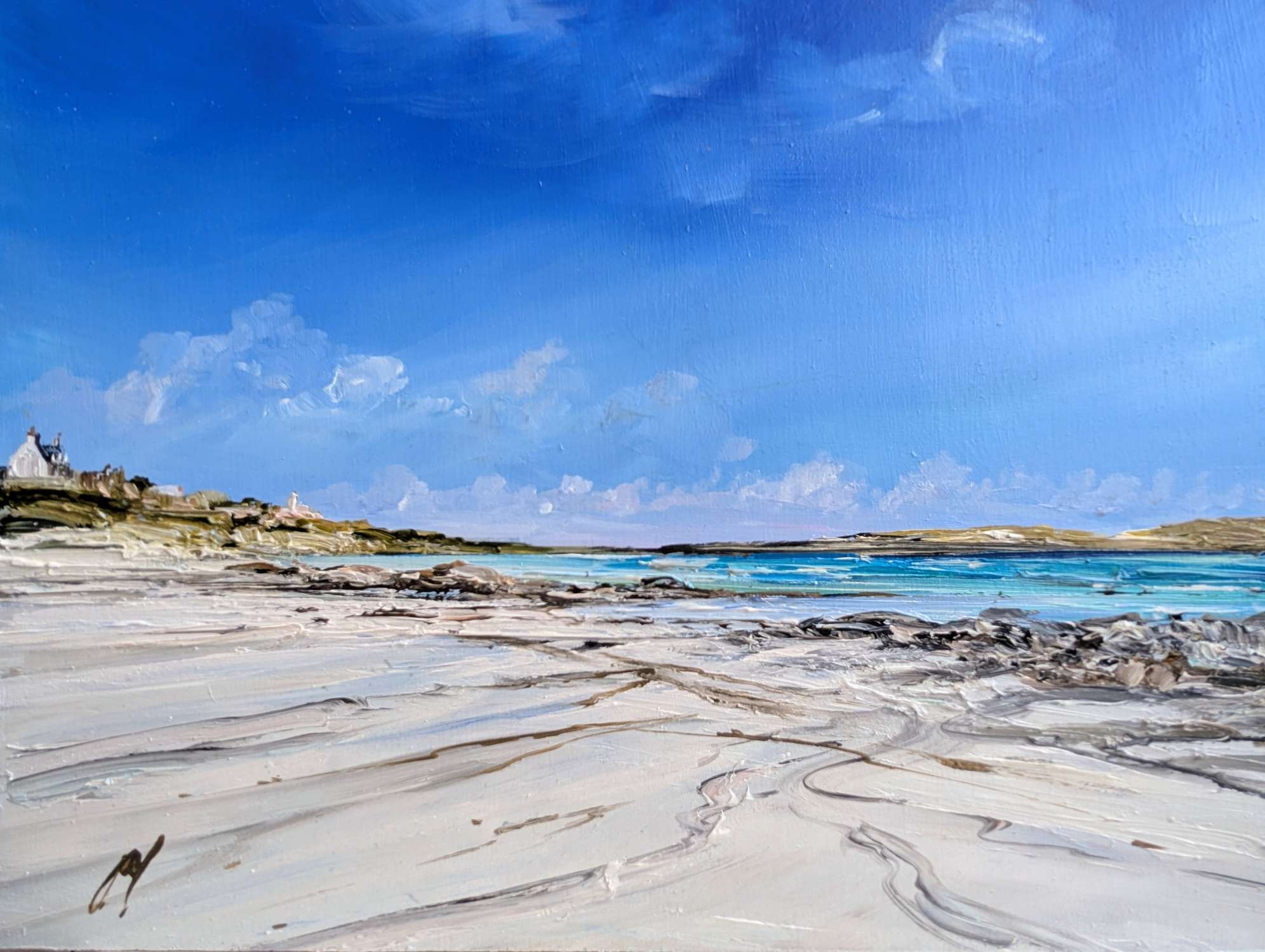 Low Tide Iona