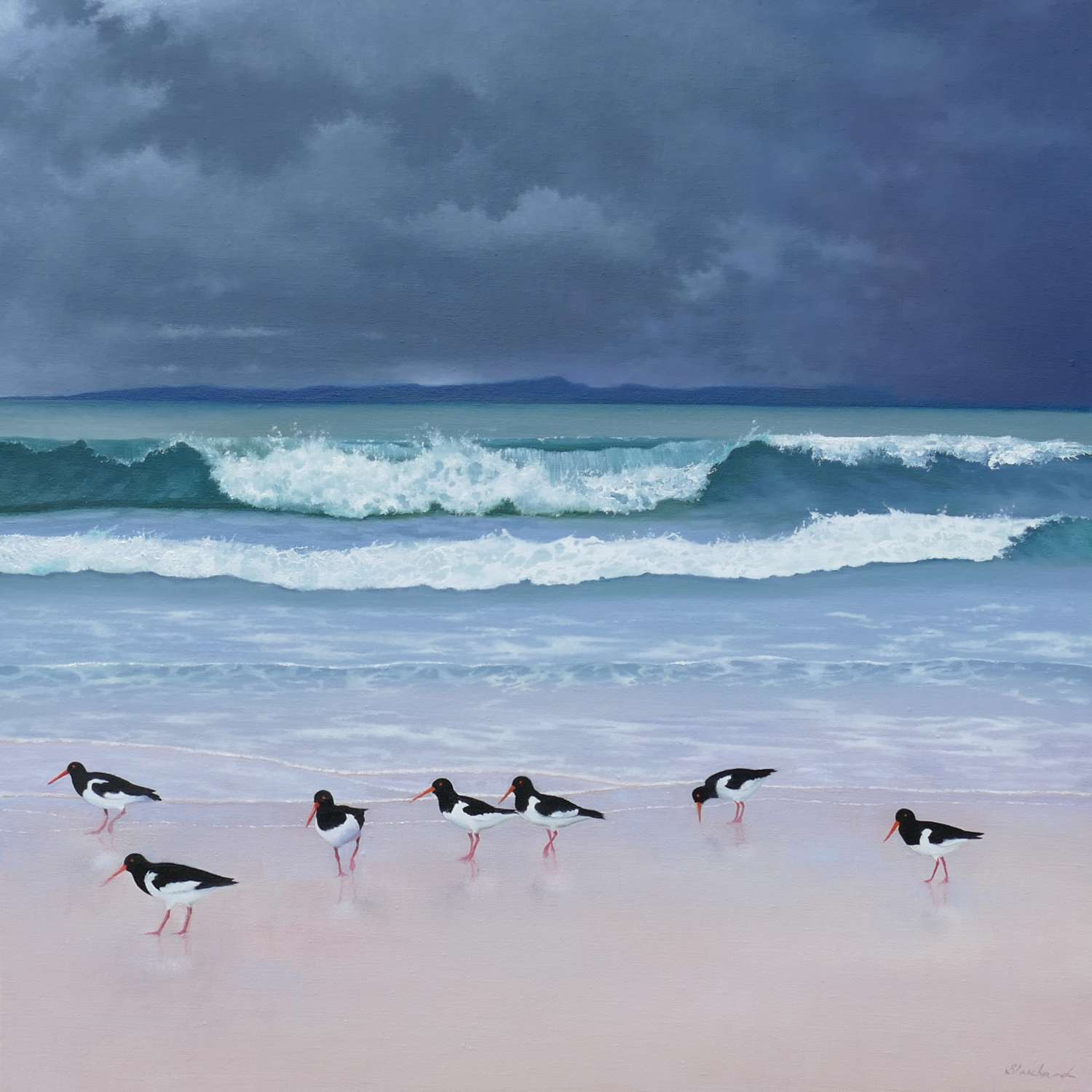 Big Wave and Oystercatchers