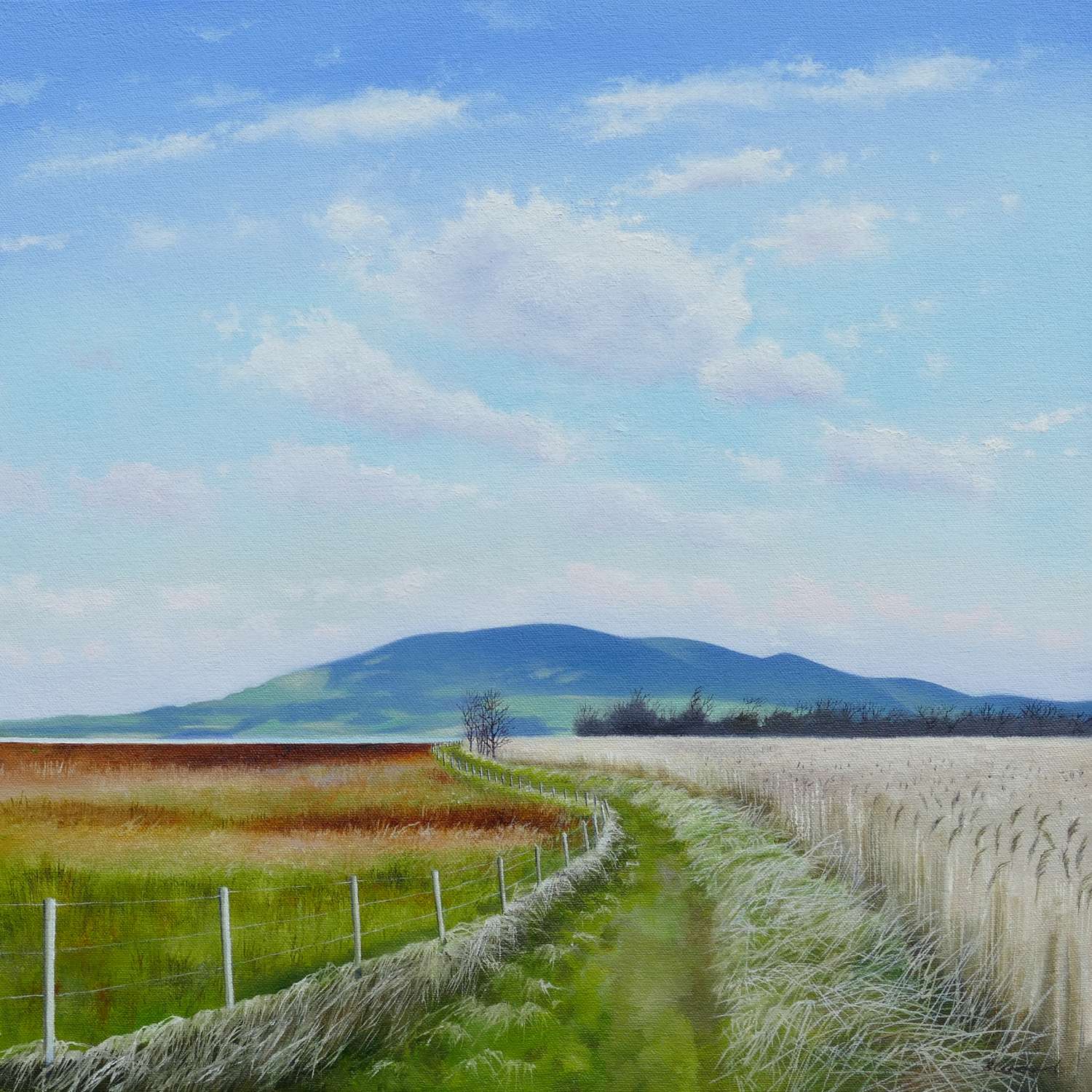 Caerlaverock
