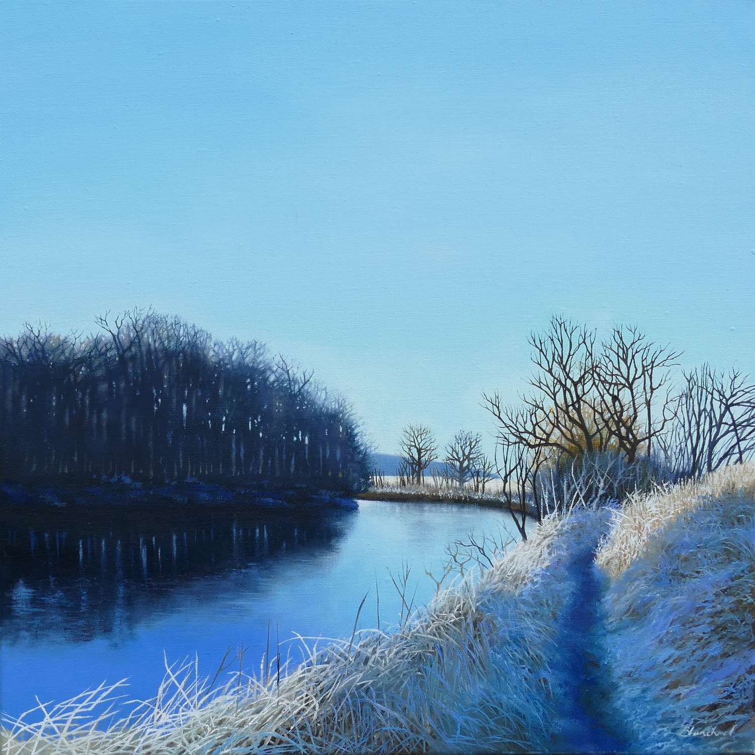 Frost on the Annan